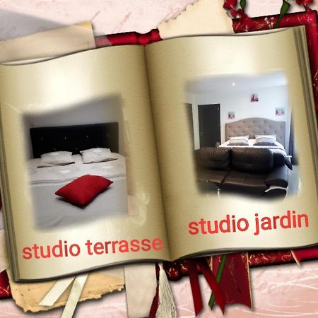 Apartament Au Paradis Des Crins Studio Rez De Chaussee Avec Jardin Et Un Autre Studio En Duplex Avec Terrasse Templeuve-en-Pevele Zewnętrze zdjęcie