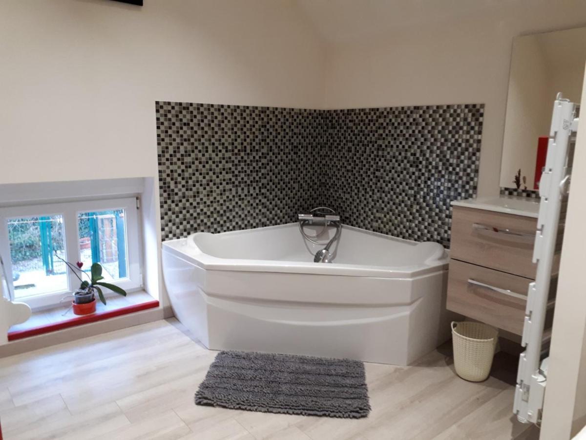 Apartament Au Paradis Des Crins Studio Rez De Chaussee Avec Jardin Et Un Autre Studio En Duplex Avec Terrasse Templeuve-en-Pevele Zewnętrze zdjęcie