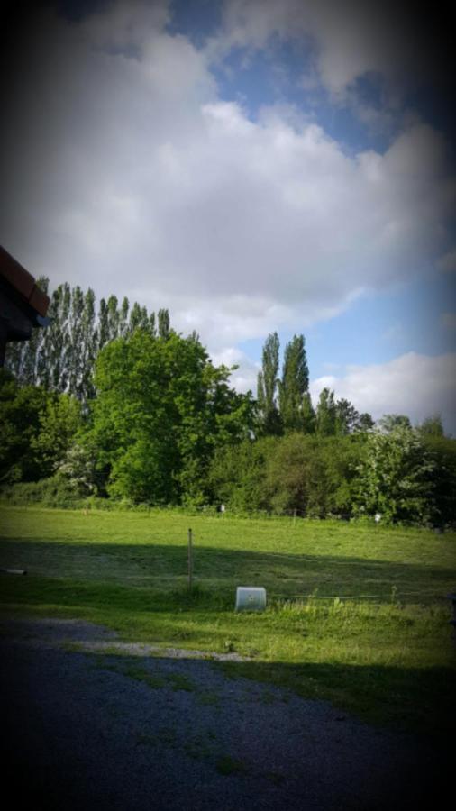Apartament Au Paradis Des Crins Studio Rez De Chaussee Avec Jardin Et Un Autre Studio En Duplex Avec Terrasse Templeuve-en-Pevele Zewnętrze zdjęcie
