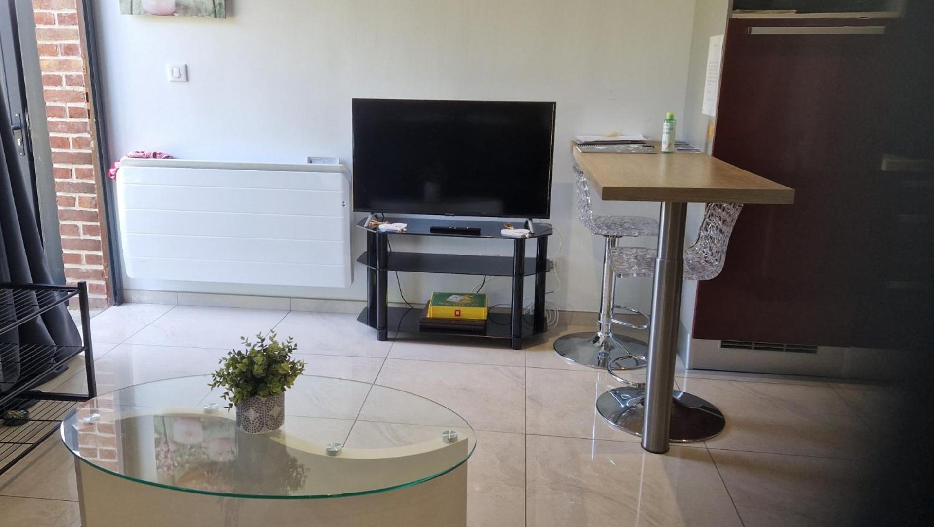 Apartament Au Paradis Des Crins Studio Rez De Chaussee Avec Jardin Et Un Autre Studio En Duplex Avec Terrasse Templeuve-en-Pevele Zewnętrze zdjęcie